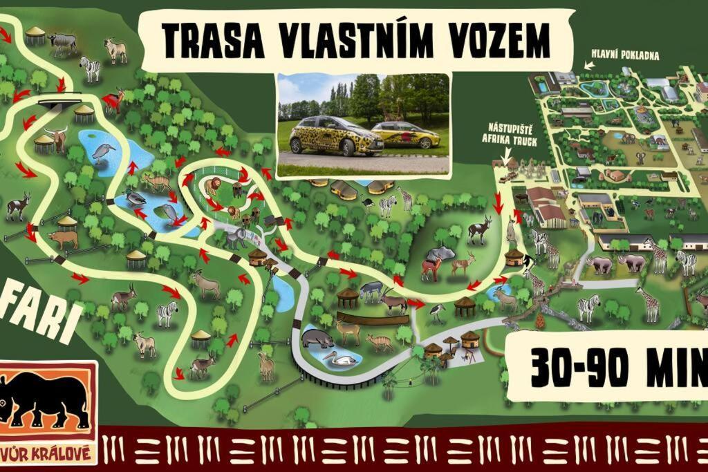 Na Liscim Kopci V Krkonosich *